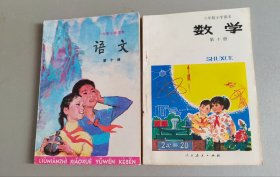 六年制小学课本（试用本）语文/数学第十册2册合售