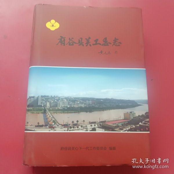 府谷县关工委志