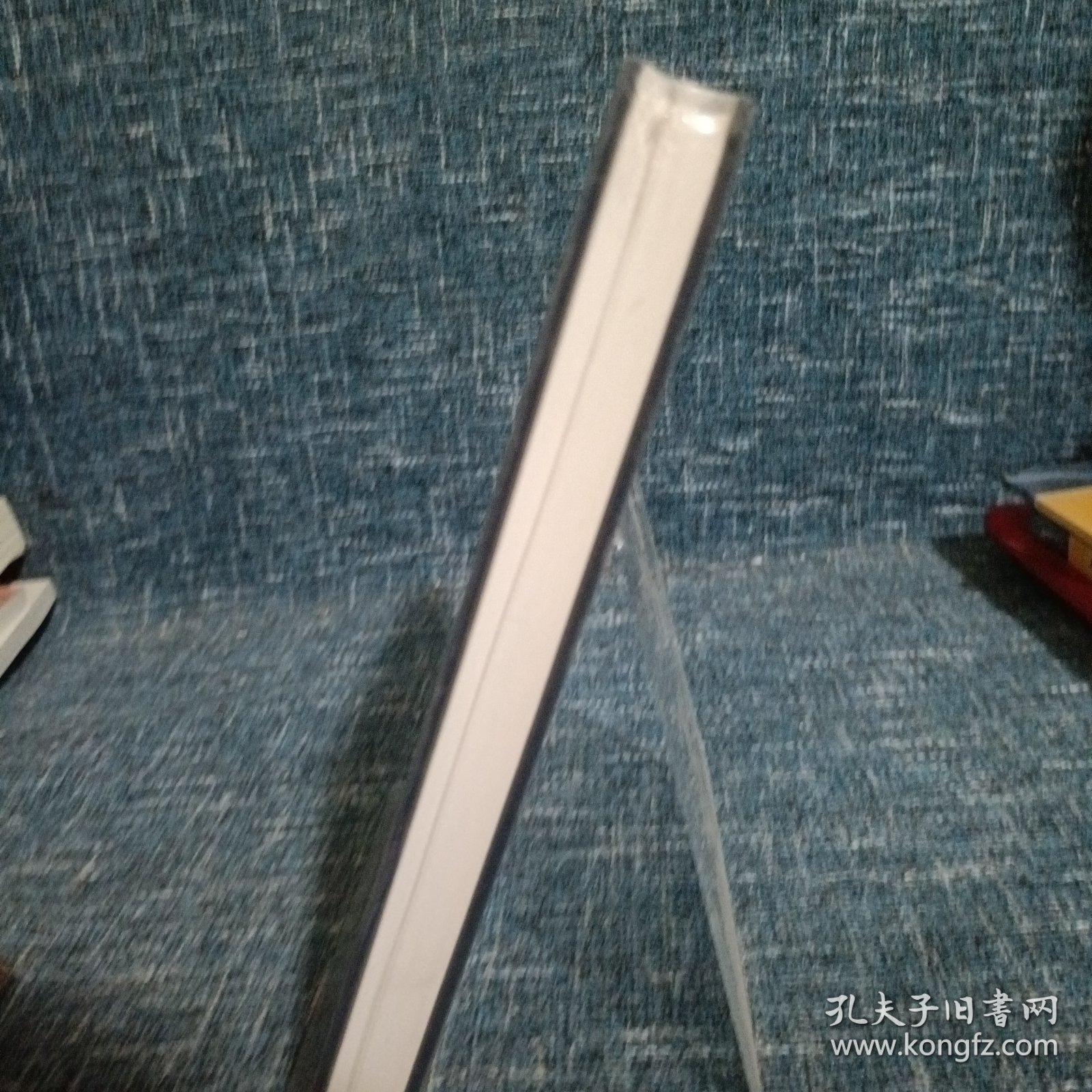 非常规突发事件应急管理研究