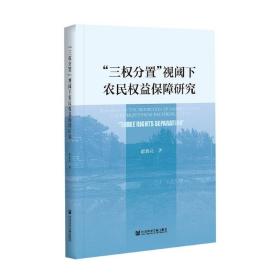 “三权分置”视阈下农民权益保障研究