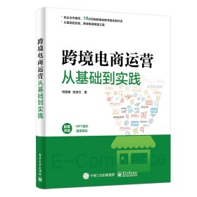 跨境电商运营从基础到实践柯丽敏电子工业出版社9787121391477