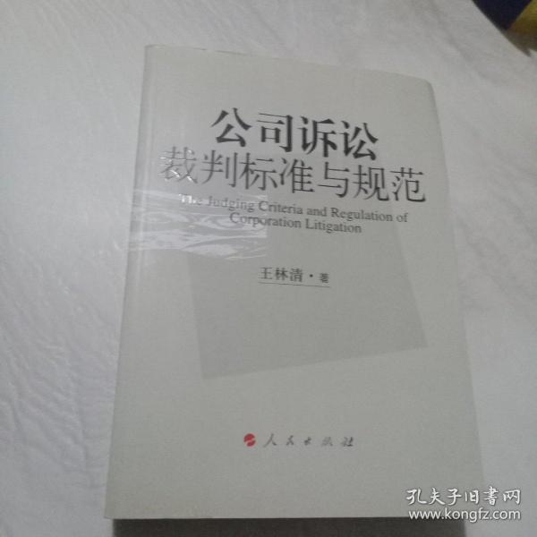 公司诉讼裁判标准与规范