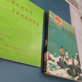海岛女民兵