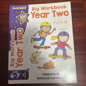 Gold stars big workbook year two