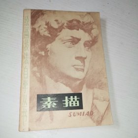 绘画技法自学丛书 素描