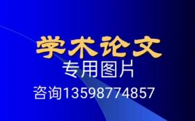 中国民营上市公司治理结构研究（论文）