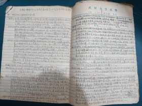 武汉大学历史教授杨翰球手稿：《明史日本传》中永乐…》论文大纲与材料 11张