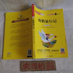 骑鹅旅行记（六年级下册名师讲解版）/“快乐读书吧”·统编小学语文教材配套阅读丛书