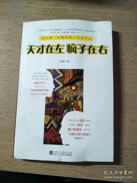 天才在左 疯子在右：国内第一本精神病人访谈手记