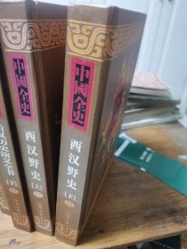 西汉野史（上下）-新编中国全史