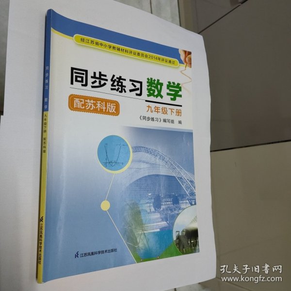 同步练习 数学 九年级下册 苏科版