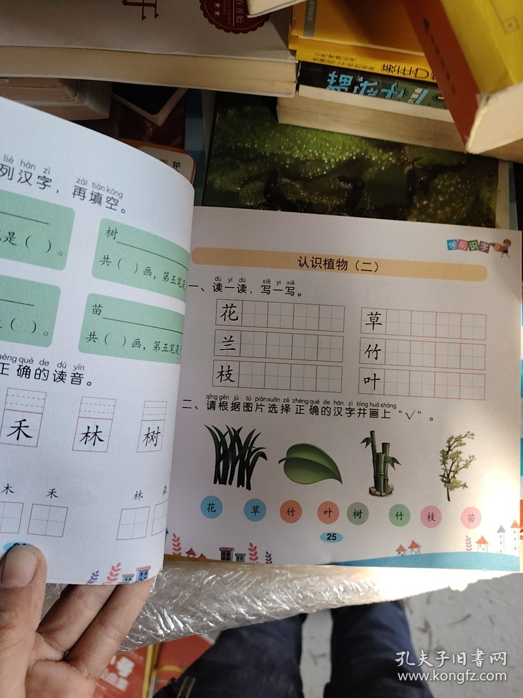儿童学前教育书籍幼升小入学学前识字教材幼小衔接3-7岁语言启蒙汉字认字幼儿园大班学前班练习册