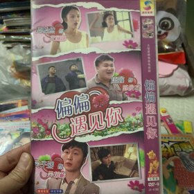 国剧 偏偏遇见你 DVD