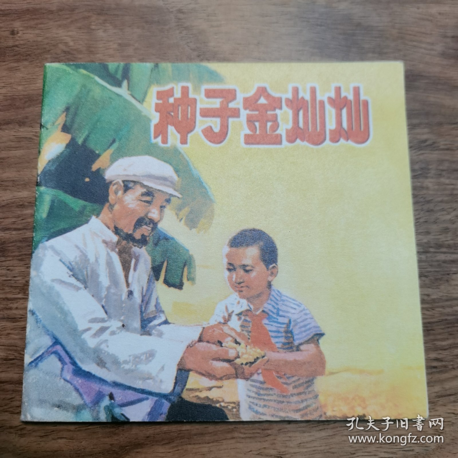 48开本精品连环画：《种子金灿灿》