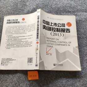 【正版二手】迪博内部控制与企业风险管理系列丛书：中国上市公司内部控制报告（2013）