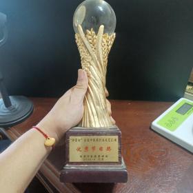 2006年仲景杯全国中医药行业优秀节目奖杯（很重少见精美）