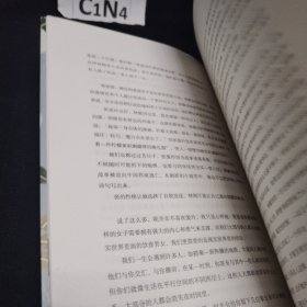 「世间始终你好」书系：林徽因