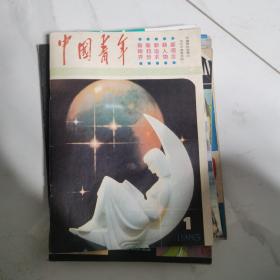 中国青年杂志7本
1985.1  1986.9  1982.1  1981.15 1981.11-12  1981.2  1983.2