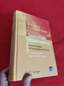 Technologie-Roadmapping: Zukunftsstrategien Fur Technologieunternehmen     (小16开，精装）  【详见图】