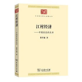 江村经济(中华现代学术名著7)