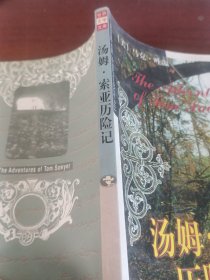 汤姆・索亚历险记
