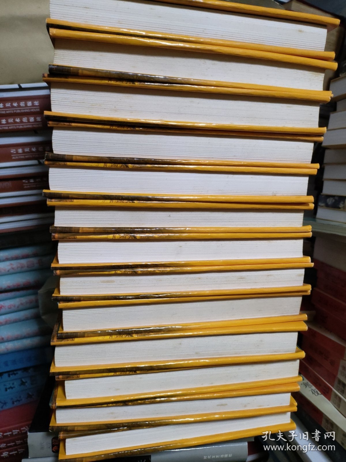 二十世纪末中国文学作品精选 全十三册