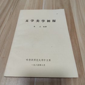 文学美学初探