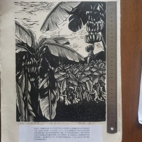 版画《百年孤独》2-9、12、13、17、22页