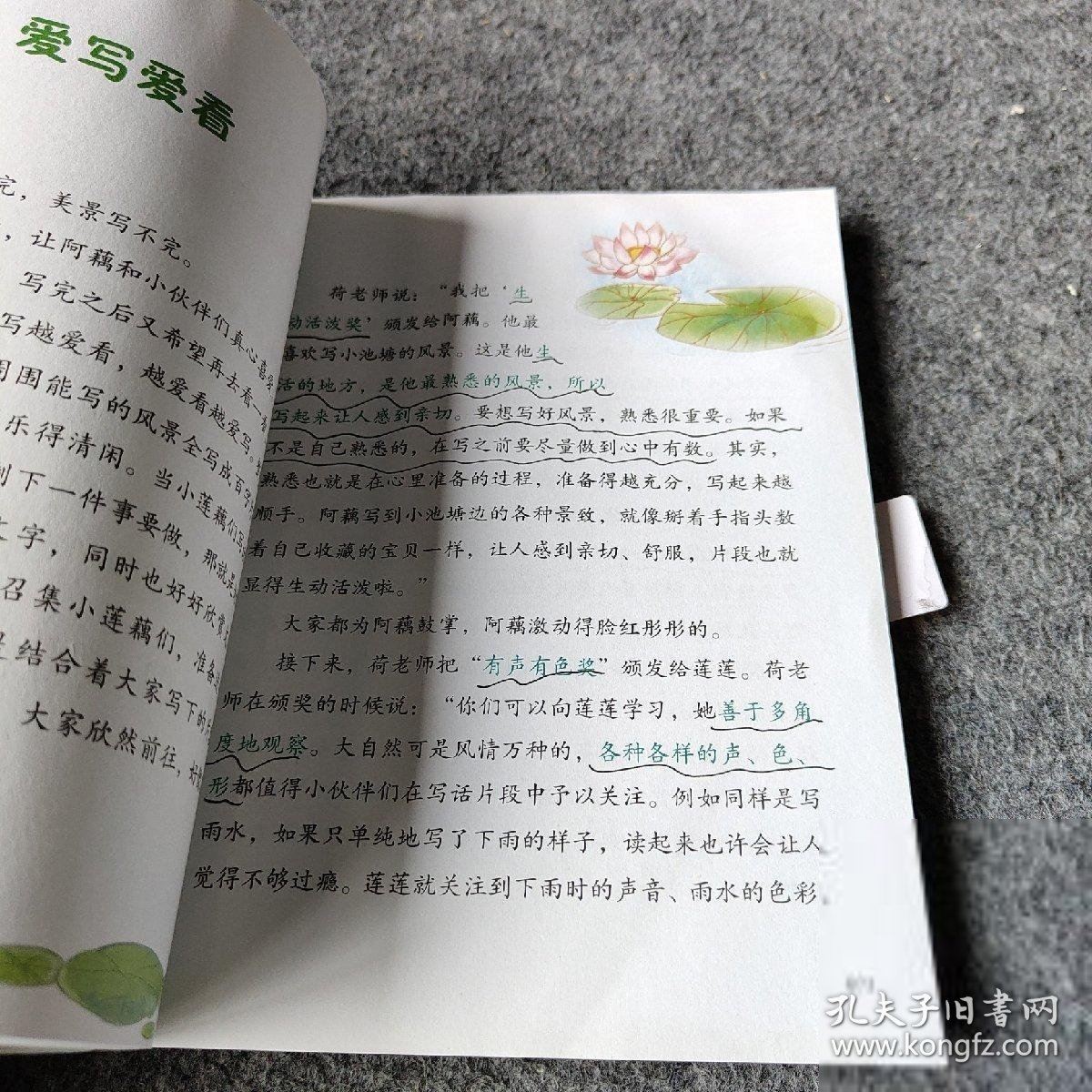 小莲藕学写话：作文起步轻松写百字的42堂课（下）