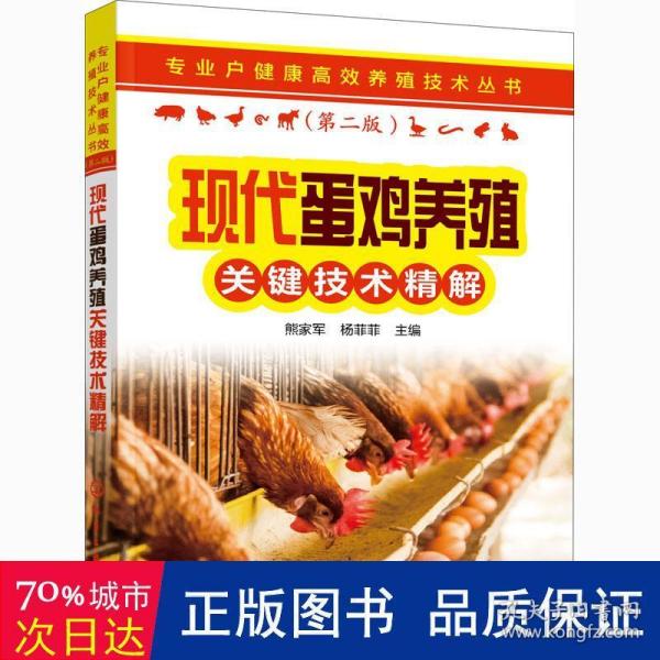 专业户健康高效养殖技术丛书--现代蛋鸡养殖关键技术精解