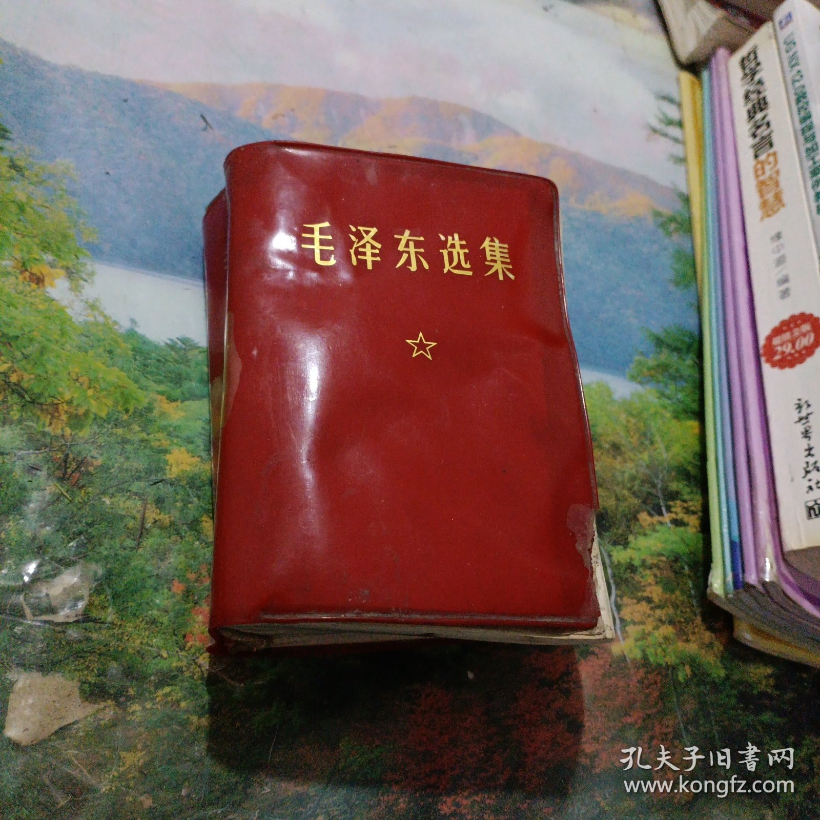 毛泽东选集（一卷本）