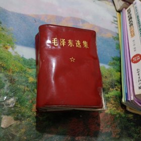 毛泽东选集（一卷本）