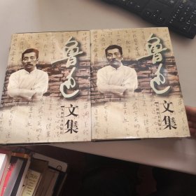 鲁迅文集 上下册 精装