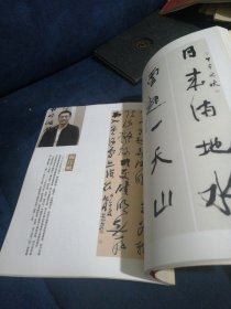 四川省十大青年书法家作品集