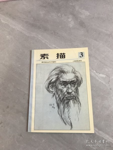 少年儿童美术技法丛书  素描第三册