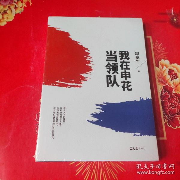 我在申花当领队