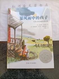 暴风雨中的孩子--美国凯迪克银奖作品 (世界经典图画书系列)16开精装