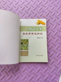 图说玉米生长异常及诊治