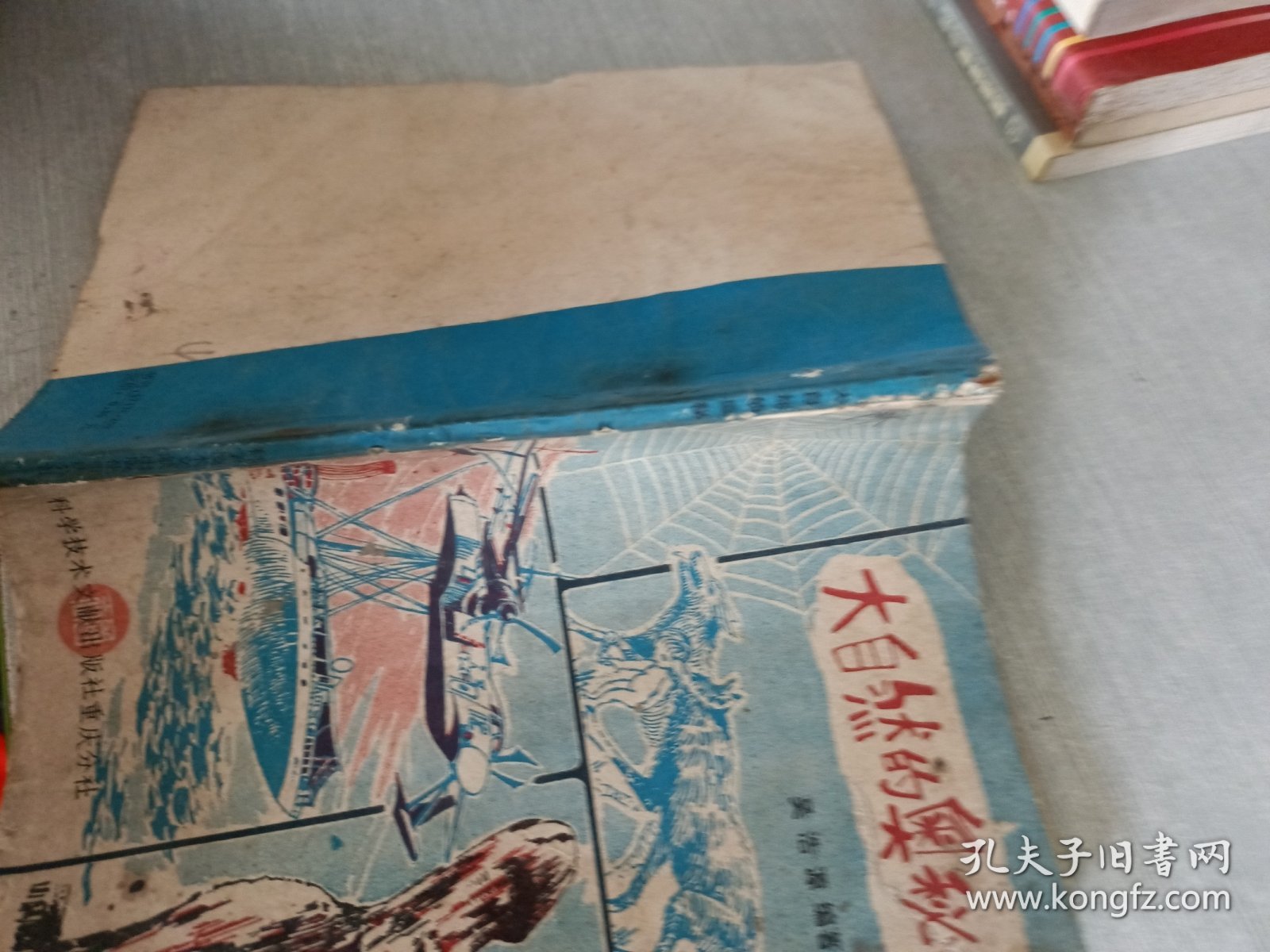 点击查看原图 大自然的奥秘