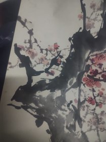 史银章梅花大概4平尺