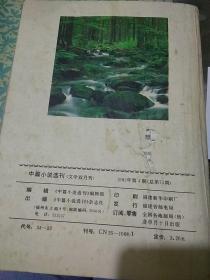 中篇小说选刊1993.4