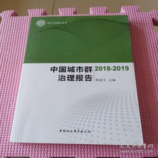 中国城市群治理报告-（（2018-2019））