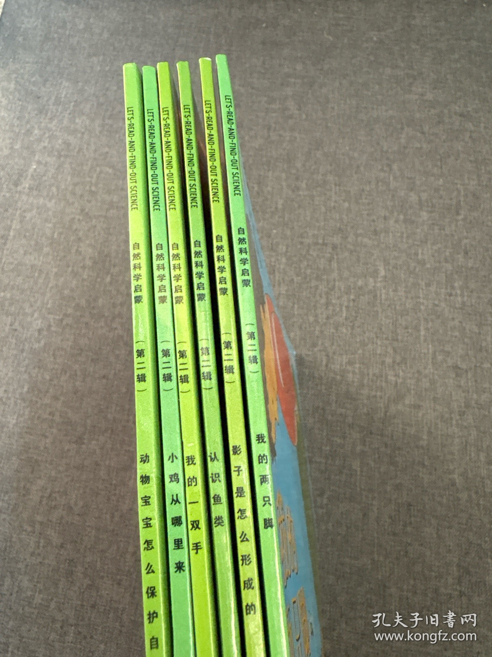 自然科学启蒙 第二辑 影子是怎么形成的 我的一双手 我的两只脚 认识鱼类 小鸡从哪里来 动物宝宝怎样保护自己 6册