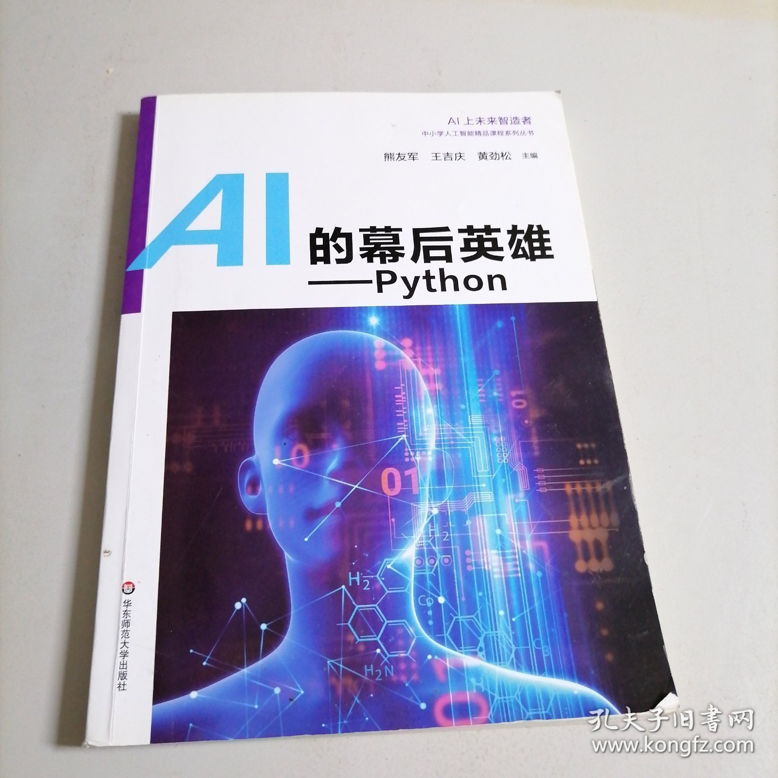 AI的幕后英雄：Python中小学人工智能精品课程系列丛书