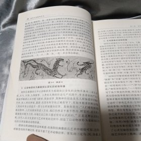 汉文化研究丛书：南阳汉画装饰艺术