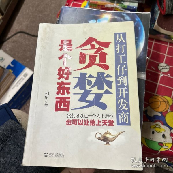 贪婪是个好东西：从打工仔到开发商