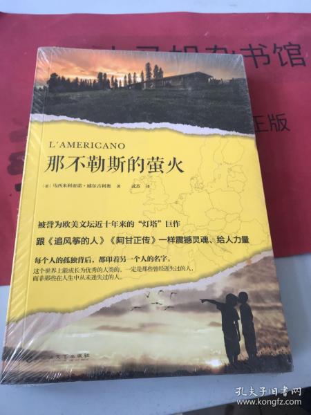 那不勒斯的萤火（被誉为欧美文坛近十年来的“灯塔”巨作，跟《追风筝的人》《阿甘正传》一样震撼灵魂、给人力量。）