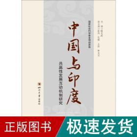 中国与印度共赢性发展互动机制研究