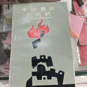 中国意识的危机