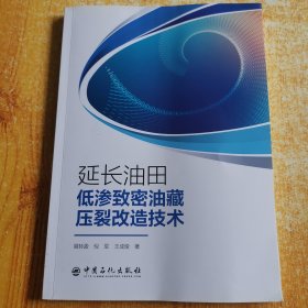 延长油田低渗致密油藏压裂改造技术